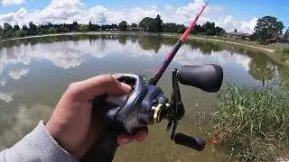 fishing a mini bass fishing tournament (IM FINALLY BACK BOYS!!!!!!!!)