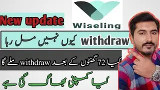 wiseling withdraw pending reason |wiseling new update February 16, 2021
