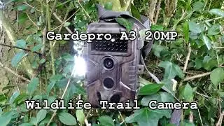 GardePro A3 Wildlife Trail Camera 2 of 2 Videos Only Edit. Brittany, France August To September 2021