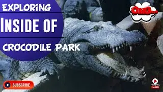 Madras Crocodile Bank Tour | Crocodile Park Chennai | Asia's First Crocodile Breeding Centre | ECR