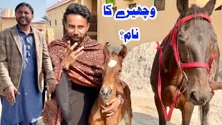Wachery Ka Naam
