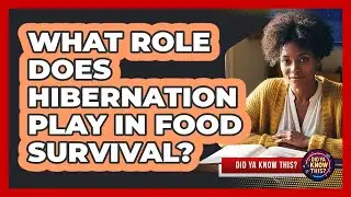 What Role Does Hibernation Play In Food Survival?