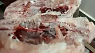 AMTek Chicken Tempering