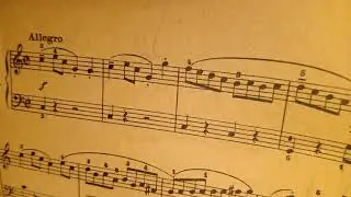 Clementi Sonatina op 36 n°1 Movimiento 1 (clase 1)
