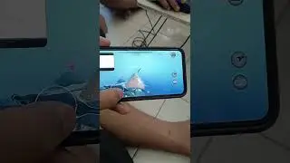 Whale Shark Beyond Blue Mobile Gameplay Review
