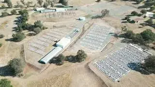 114‑Acre Ranch & Vineyard‑Ready Estate | Wallace, CA | Ag + Commercial Land Tour