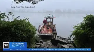 Camp counselor attacked by bobcat at Connecticut state park