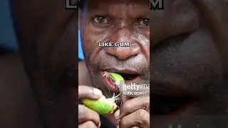ADDICTIVE BETEL NUTS?? - MYANMAR