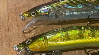 How To Catch Bass On Jerkbaits In The Fall/Early Winter Transition Time