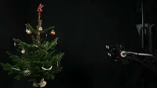 Christmas Tree 3D Scanning