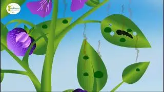 Bio Ak 57 Hindi Video