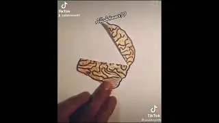 Past Life with sin ~ and Present Life with Quran Majeed