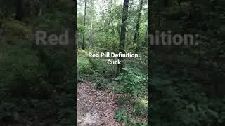 Word of the Day 1: Cuck #Shorts