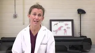 Dogs Might Teach Us How to Age in Good Health