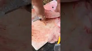 How to Cut Gar Fish | Step-by-Step Guide #FishCutting
