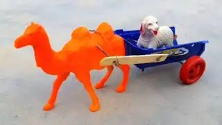 Camel Cart Making Project | How To Make Mini Camel Cart At Home Easy | Village Home