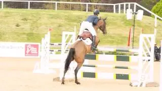 Daniel Moseley . Jumping Competition