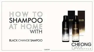 CHEONDAM STYLE - BLACK CHANGE SHAMPOO