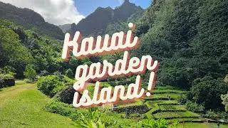 Kauai-Hawaii