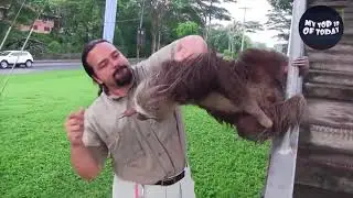 Die laughed with these little animals