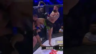 Pavel Dailidko cooked with this 🤯🔥 #bravecf81 #bravecf #mma #slovenia