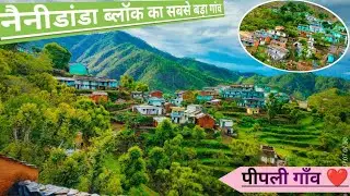 नैनीडांडा ब्लॉक का सबसे बड़ा गांव पीपली गांव ❤️#gao #viralvideo #dhumakot #pipli #viral #rawat