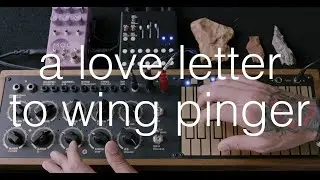 a (long) love letter to wing pinger: meng qi wing pinger, wingie 2, chase bliss mood mk2.