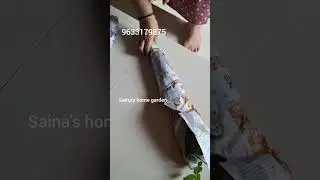 Plants packing & review | fact video | fact | #liveplants#packing#outdoorindoor plants#shortsvideo 