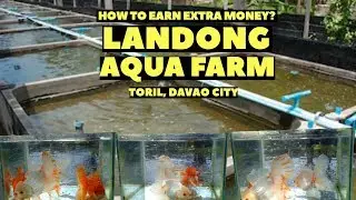 Fish farm visit at Landong Farm (English subtitle) - inspired by Dexter's world and Paul Cuffaro