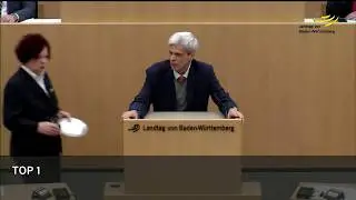 AfD - Dr. Wolfgang Gedeon -  