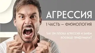 Агрессия 1. Что это такое. Бей - беги - умри.