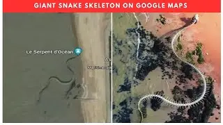 Giant snake skeleton on google maps | IDNews