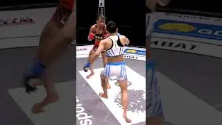 BIANCA SATTELMAYER: PRIMEIRA MULHER M&Uacute;LTIPLA CAMPE&Atilde; 🏆 #SFTCombat
