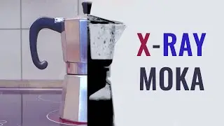 X-ray - Neuron imaging - How Moka &ndash; Espresso Stove Pot Works