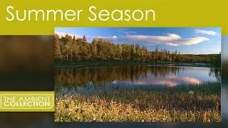 4 Seasons DVD - Relaxing Video Of Summer Scenery With Nature Sounds