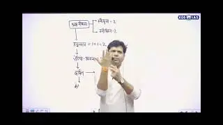 मानव की 206 हड्डियों का संक्षिप्त विवरण By Mr.Sumit Shukla sir 👈 #khansir #kgs #upsc #uppsc #ssc #yt