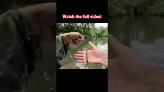 Fishing For Fish In A Tiny Creek! #freshwaterfish #fishing #creekfishing #outdoors #explore