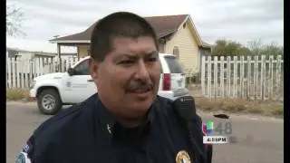 Border Patrol accidentally runs over dog on live TV