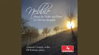 Violin Sonata in B Minor, P. 110: I. Moderato