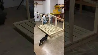 Framing a Dog House with my little helper! #woodworking #dog #doghouse #daschund