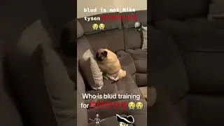 one punch and he down😭