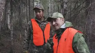 Chasse à l'ours