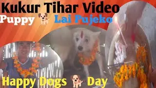 Kukur Tihar Maa Hamro Puppy Lai Pujeko Video Hajur Haru Ko Maajh Maa Sathi haru@manishamajhi9504  
