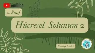 13) 10. SINIF BİYOLOJİ  - H&Uuml;CRESEL SOLUNUM 2