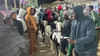 Entree des moutons foddak