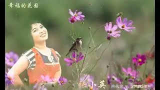 幸福的花园 by 张小英 Zhang Xiao Ying & The Stylers 时代乐乐队