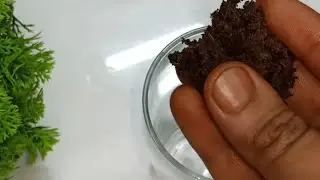 Delicious Leftover Cake Jar Cake