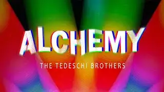 Alchemy (feat. Brian Palay) By The Tedeschi Brothers