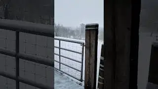 ❄️ Schnee Chaos im Bergischen Land 😳 WAHNSINN ❄️ 17.01.24 ❄️ #schneechaos #schneefall #schnee ❄️❄️❄️