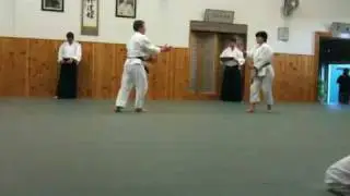 Marzi's Aikido Test